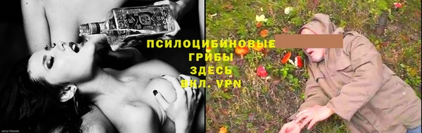 дживик Верхний Тагил
