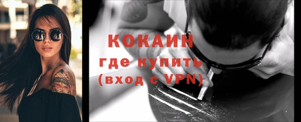 дживик Верхний Тагил