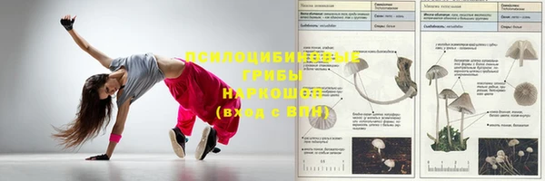 дживик Верхний Тагил