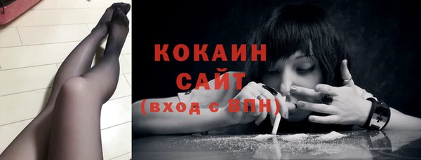дживик Верхний Тагил
