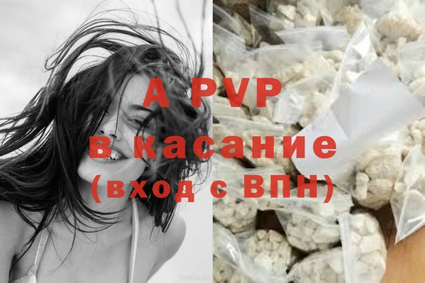 дживик Верхний Тагил