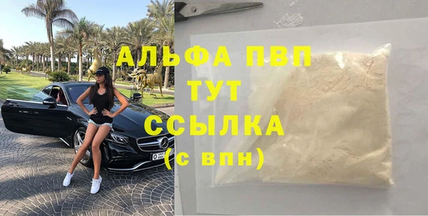дживик Верхний Тагил