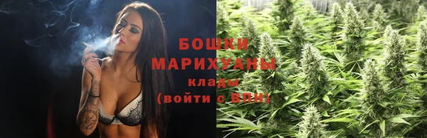 дживик Верхний Тагил